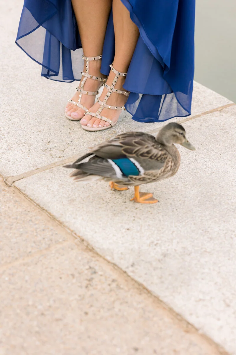 Engagement Session at The National Mall image 3